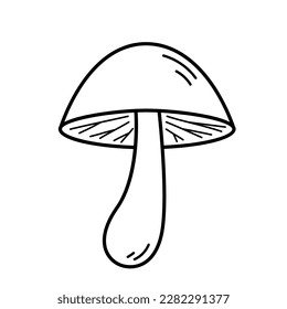 Mushroom. Hand drawn sketch icon of forest element. Isolated vector illustration in doodle line style.