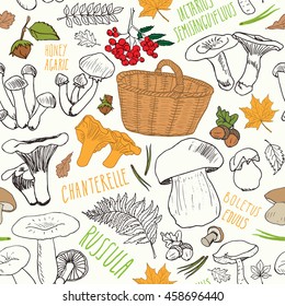 Mushroom hand drawn sketch Seamless Pattern. Vector Illustration