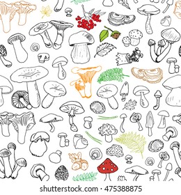 Mushroom hand drawn sketch Seamless Pattern. Vector Illustration