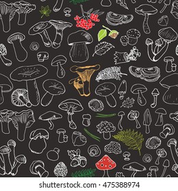 Mushroom hand drawn sketch Seamless Pattern. Vector Illustration
