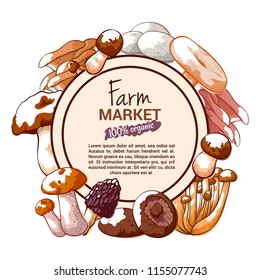 Mushroom hand drawn vector banner or label or sticker. Round shaped colorful illustration of various sketch mushrooms with place for lettering in center