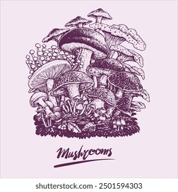 mushroom hand drawn vector can be used for illustration of card, screen printing, clothes, etc.