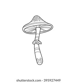 Mushroom Hand Drawn Vector Design Zentangle Print For Coloring Book