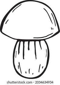 Mushroom hand drawn vector doodle illustration. Cartoon mushroom. Isolated on white background. Hand drawn simple element