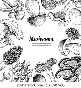 Mushroom hand drawn vector frame. Isolated Sketch organic food drawing template. Champignon, morel, truffle, enokitake, porcini, oyster, chanterelle, shiitake. Great for menu, label, product packaging