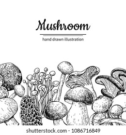 Mushroom hand drawn vector frame. Isolated Sketch organic food drawing template. Champignon, morel, truffle, enokitake, porcini, oyster, chanterelle, shiitake. Great for menu, label, product packaging