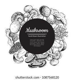 Mushroom hand drawn vector frame. Isolated Sketch organic food drawing template. Champignon, morel, truffle, enokitake, porcini, oyster, chanterelle, shiitake. Great for menu, label, product packaging