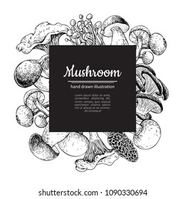 Mushroom hand drawn vector frame. Isolated Sketch organic food drawing template. Champignon, morel, truffle, enokitake, porcini, oyster, chanterelle, shiitake. Great for menu, label, product packaging