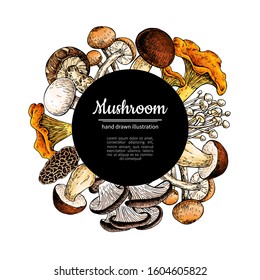 Mushroom hand drawn vector frame. Isolated Sketch organic food drawing template. Champignon, morel, truffle, chanterelle, shiitake. Great for menu label product packaging