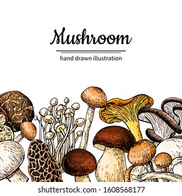 Mushroom hand drawn vector frame. Isolated Sketch organic food drawing template. Champignon, morel, chanterelle, shiitake. Great for menu label product packaging