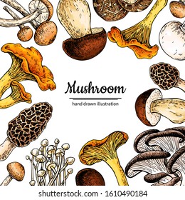 Mushroom hand drawn vector frame. Isolated Sketch organic food drawing template. Champignon, morel, chanterelle, shiitake. Great for menu label product packaging