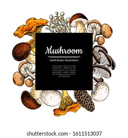 Mushroom hand drawn vector frame. Isolated Sketch organic food drawing template. Champignon, morel, truffle, chanterelle, shiitake. Great for menu label product packaging