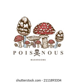 Mushroom hand drawn vector frame. Poison Mushroom. Isolated Sketch organic food drawing template. Great for menus, labels, product packaging.