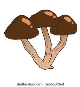 Ilustración vectorial dibujada a mano por hongos. Dibujo de comida de boceto aislado. Producto vegetariano orgánico para menú, etiqueta, embalaje