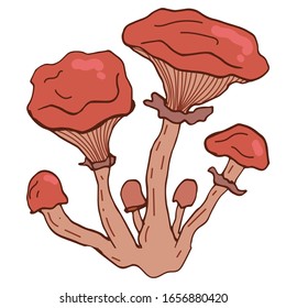 Mushroom hand drawn vector illustration. Isolated Sketch food drawing. Organic vegetarian product for menu, label, packaging