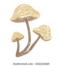 Mushroom. Hand drawn vector illustration. Pen or marker doodle sketch