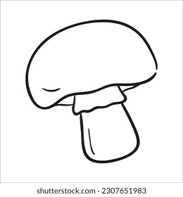 mushroom. Hand drawn vector illustration