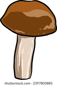 Mushroom hand drawn vector illustration.