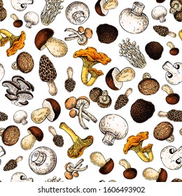 Mushroom hand drawn vector seamlees pattern. Isolated Sketch food drawing background. Champignon, morel, truffle, enokitake, porcini, oyster, honey agaric, chanterelle. Organic vegetarian product