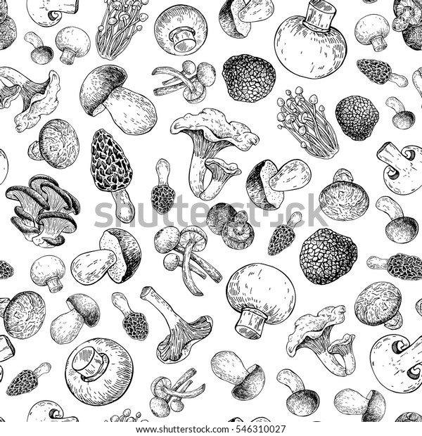 Mushroom hand drawn vector seamlees pattern.\
Isolated Sketch organic food drawing background. Champignon, morel,\
truffle, enokitake, porcini, oyster, honey agaric, chanterelle,\
wood ear, shiitake.