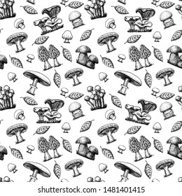 Mushroom hand drawn vector seamless pattern. Vector hand drawn mushrooms, vintage seamless pattern. Edible mushrooms. Forest types of mushrooms collection