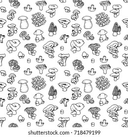 Mushroom hand drawn vector seamless pattern. Isolated Sketch organic food drawing background. Champignon, morel, enokitake, porcini, oyster, honey agaric, chanterelle, fungi, russula.