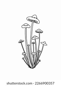 Mushroom hand-drawing isolated on white background, Illustration vector