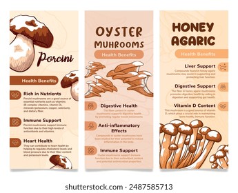 Mushroom health benefits infographic information flyer design template set vector illustration. Healthcare vitamin natural vegetable organic nutrient vegetarian antioxidant engraving banner