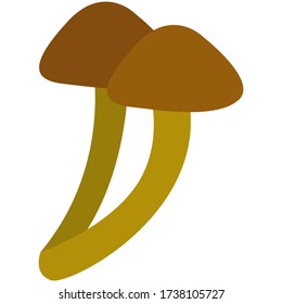 mushroom honey agaric grows in the forest