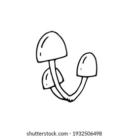 Mushroom. Honey mushrooms. Toadstools. Vector hand drawn doodle illustration. Black and white outline. Silhouette. Coloring.