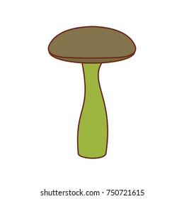 Mushroom icon. Cartoon illustration of Mushroom  vector icon for web isolated on white background
