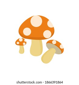 Mushroom icon isolate on white background.