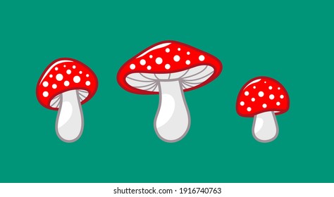Mushroom icon set  Amanita Muscaria (fly agaric) sign collection  Magic mushroom symbol  Vector illustration isolated green background