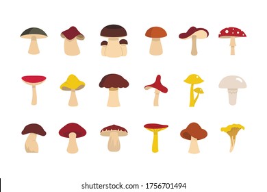 Mushroom icon set. Flat set of mushroom vector icons for web design isolated on white background