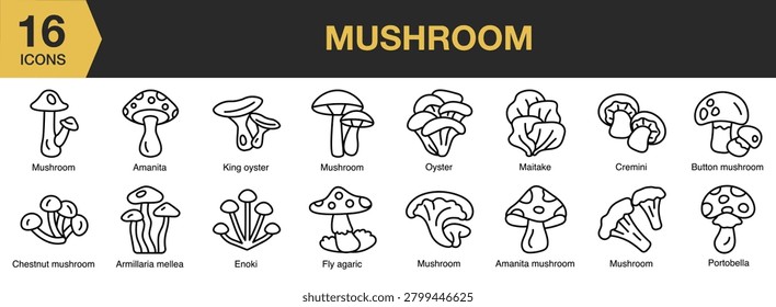 Mushroom icon set. Includes edible fungi, forest mushrooms, caps, stems, fresh ingredients and More. Outline icons vector collection.