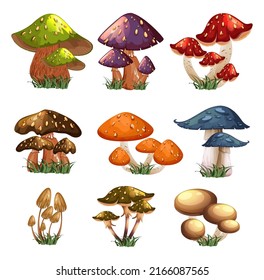 Mushroom icons colorful modern sketch