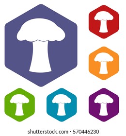 Mushroom icons set rhombus in different colors isolated on white background