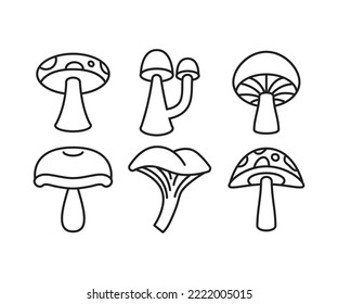 mushroom icons set vector illustration