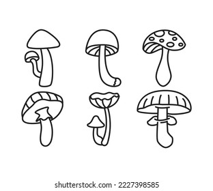 conjunto de iconos de hongos
