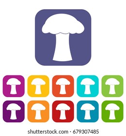 Mushroom icons set vector illustration in flat style In colors red, blue, green and other