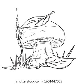 Mushroom icon.Vector illustration of autumn mushrooms in the grass. Hand drawn mushrooms in the forest.