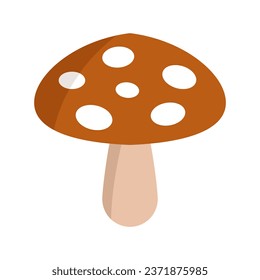 Mushroom illustrated in vector on background