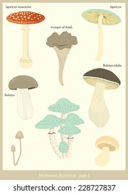 Mushroom illustration