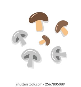 Mushroom illustration. Fungi. Mushroom vegetables. Food illustration.