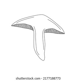 Mushroom illustration  logo. Mushrooms tattoo highly detailed in line art style. Black and white clip art isolated on white background.