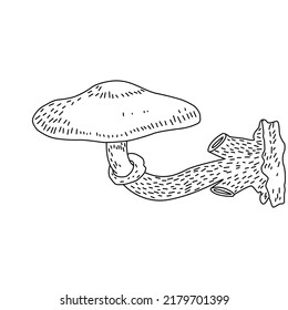 Mushroom illustration logo. Mushrooms tattoo highly detailed line art. Black and white clip art on white background. Antique vintage engraving illustration.