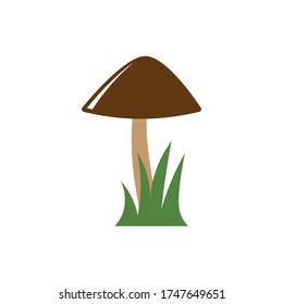 mushroom illustration logo vector design