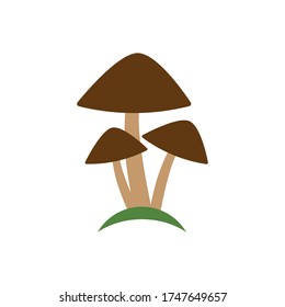 mushroom illustration logo vector design