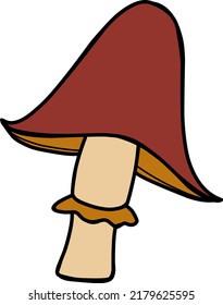 Mushroom Illustration on white background