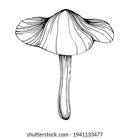 Mushroom illustration sketch for logo. Mushrooms tattoo highly detailed in line art style. Black and white clip art isolated on white background. Antique vintage engraving illustration.